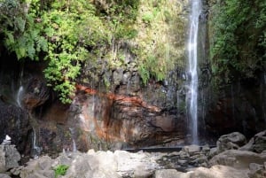 Rabacal Nature Walk: Lakes & Fountains