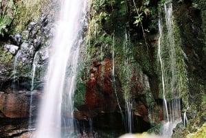 Paseo por la naturaleza de Rabacal: lagos y fuentes