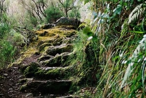 Paseo por la naturaleza de Rabacal: lagos y fuentes