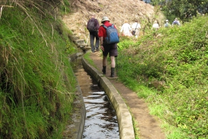 Referta & Castelejo: Halvdags morgenvandring