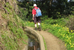 Referta & Castelejo: Halvdags morgenvandring