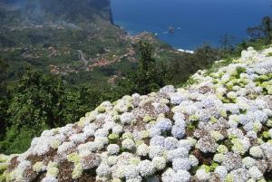 Referta & Castelejo: Halvdags morgenvandring