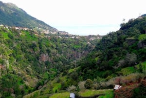 Referta / Castelejo - Levada Walk