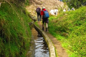 Referta / Castelejo - Levada Walk