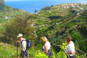 Referta / Castelejo - Levada Walk