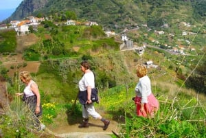 Referta / Castelejo - Levada Walk