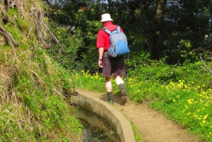 Referta / Castelejo - Levada Walk