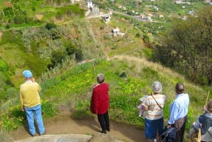 Referta / Castelejo - Levada Walk