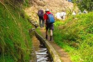 Referta / Castelejo - Levada Walk