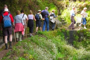 Referta / Castelejo - Levada Walk