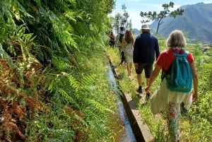 Referta levada walk: Discover Madeira’s Quiet Countryside