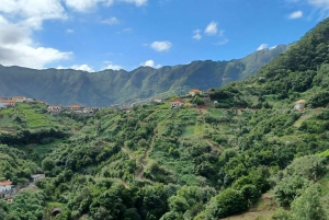 Referta levada walk: Discover Madeira’s Quiet Countryside