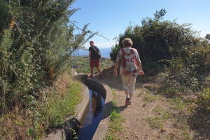 Referta levada walk: Discover Madeira’s Quiet Countryside