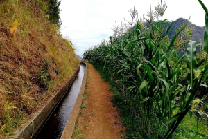 Referta levada walk: Discover Madeira’s Quiet Countryside