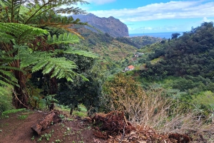 Referta levada walk: Discover Madeira’s Quiet Countryside