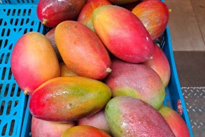 Ribeira Brava: Guidet gåtur med besøg på det lokale marked