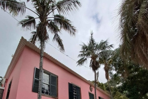 Ribeira Brava: Guidet gåtur med besøg på det lokale marked