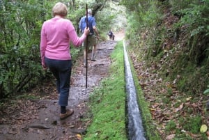 Ribeiro Frio / Portela Full day hike