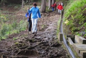 Ribeiro Frio / Portela Full day hike