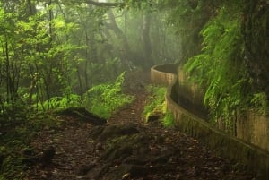 Ribeiro Frio / Portela Heldags vandretur