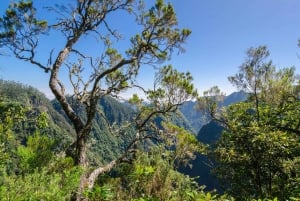 Ribeiro Frio / Portela - Levada Walk