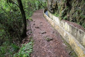 Ribeiro Frio / Portela - Levada Walk