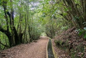 Ribeiro Frio / Portela - Levada Walk