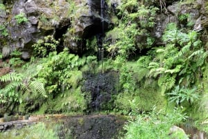 Ribeiro Frio / Portela - Levada Walk