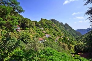 Ribeiro Frio / Portela - Levada Walk