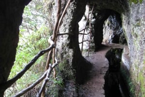 Ribeiro Frio / Portela - Levada Walk