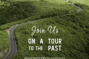 Madeira: Jeep Safari Tours Ontdek het zuidwesten met onvergetelijke landschappen!