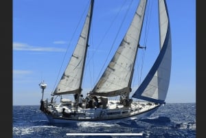 Sailing Tour with BBC