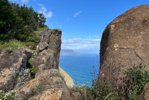 Santana: 4x4 heldagstur til nordøst på Madeira