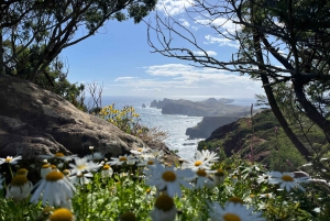 Santana: 4x4 heldagstur til nordøst på Madeira