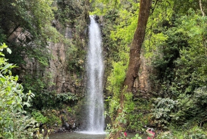 Santana: 4x4 heldagstur til nordøst på Madeira