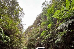 Madeira: Santana; Discover the enchanting East: Duration 7,5h