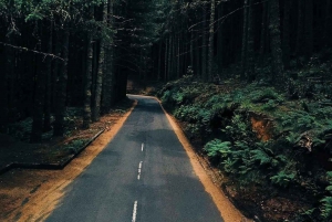 Madeira: Santana; Discover the enchanting East: Duration 7,5h