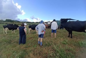 Sao Jorge Cheese Tour - Half day