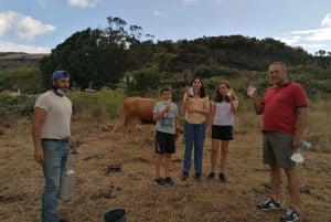 Sao Jorge Cheese Tour - Half day