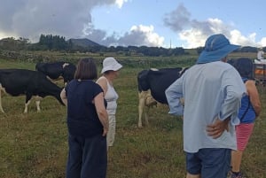 Sao Jorge Cheese Tour - Half day