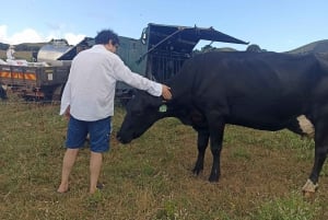 Sao Jorge Cheese Tour - Half day