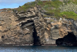 São Roque-eilandtour & snorkelen