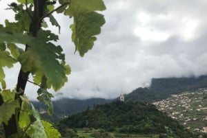 Besøk på São Vicente vingård med tradisjonell lunsj