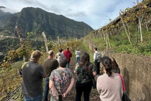 Besøk på São Vicente vingård med tradisjonell lunsj