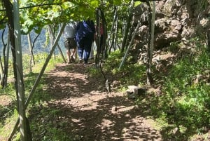 Besøk på São Vicente vingård med tradisjonell lunsj