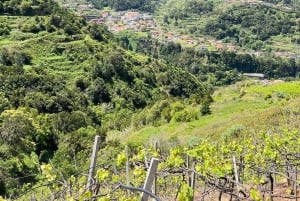 Besøk på São Vicente vingård med tradisjonell lunsj