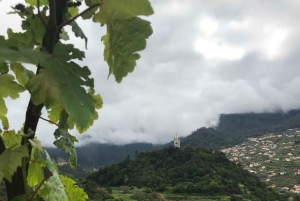 Besök på vingården São Vicente med traditionell lunch