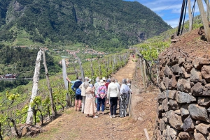 Besök på vingården São Vicente med traditionell lunch