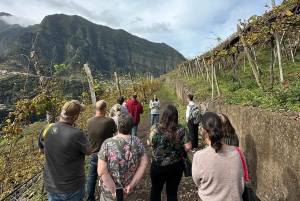 Besök på vingården São Vicente med traditionell lunch