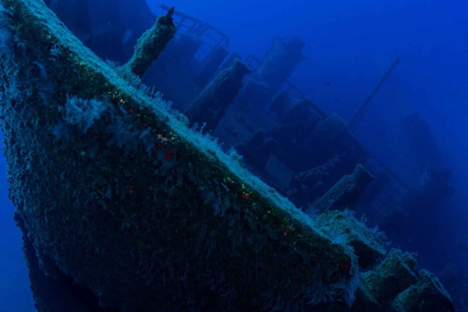 Scuba dive Madeira, the safe port of the Atlantic